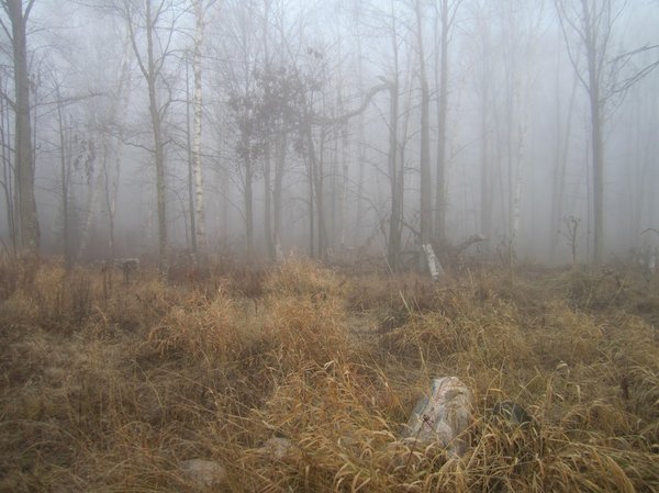 wvt camp freezing fog