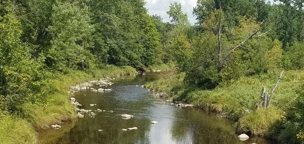 wvt camp main creek