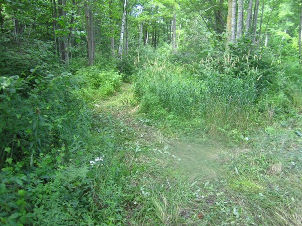 wvt camp trail breaking